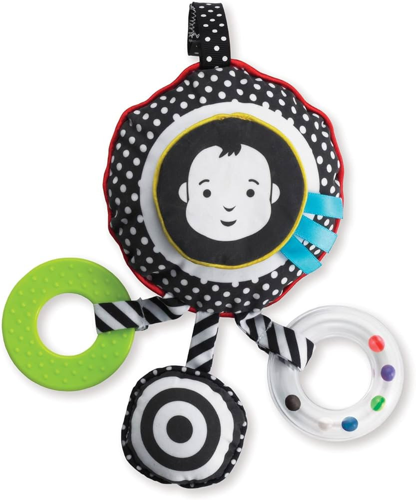 Manhattan Toy Wimmer-Ferguson Sights and Sounds Travel Activity Toy | Amazon (US)