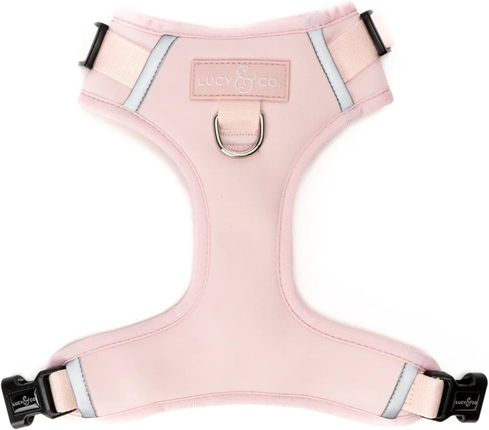 Lucy & Co. The Rosewater No-Pull Dog Harness – Size Medium – Vest to Stop Pulling & Walk Easy... | Amazon (US)