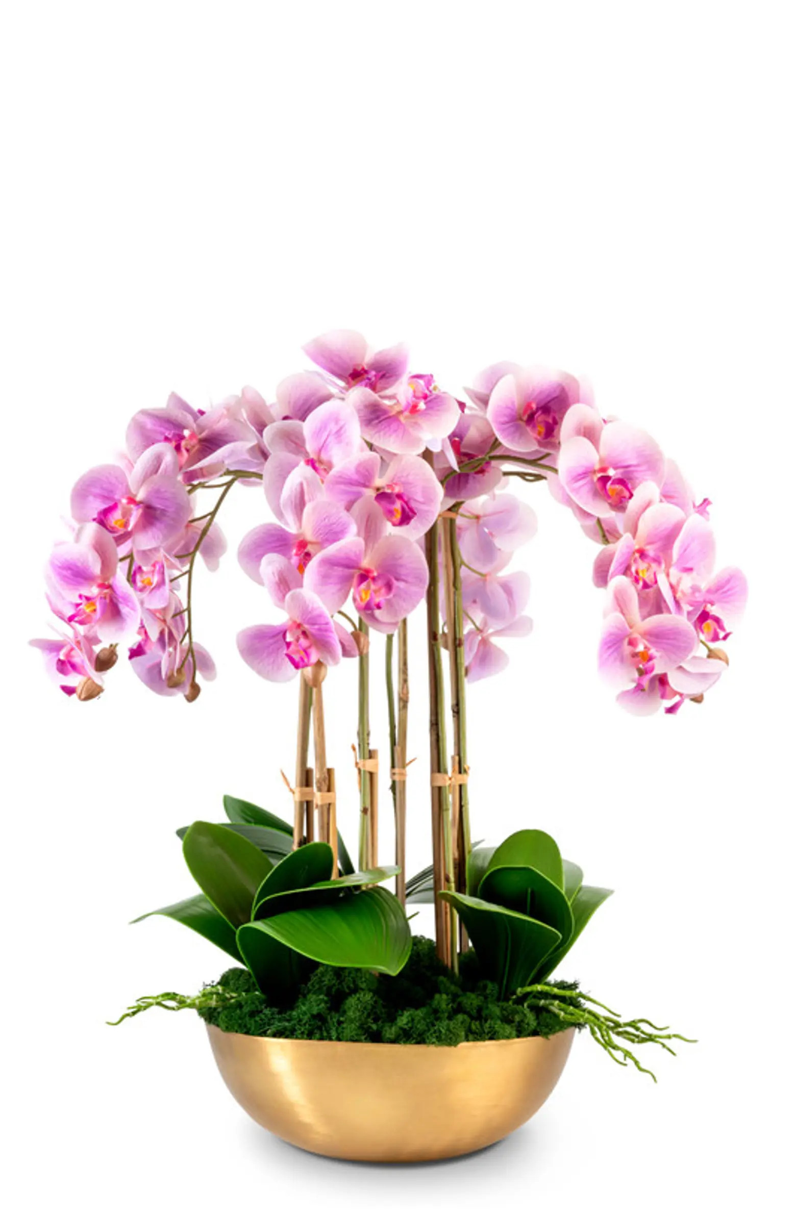 Abigail RealTouch White Orchid in Gold Bowl | Nordstrom