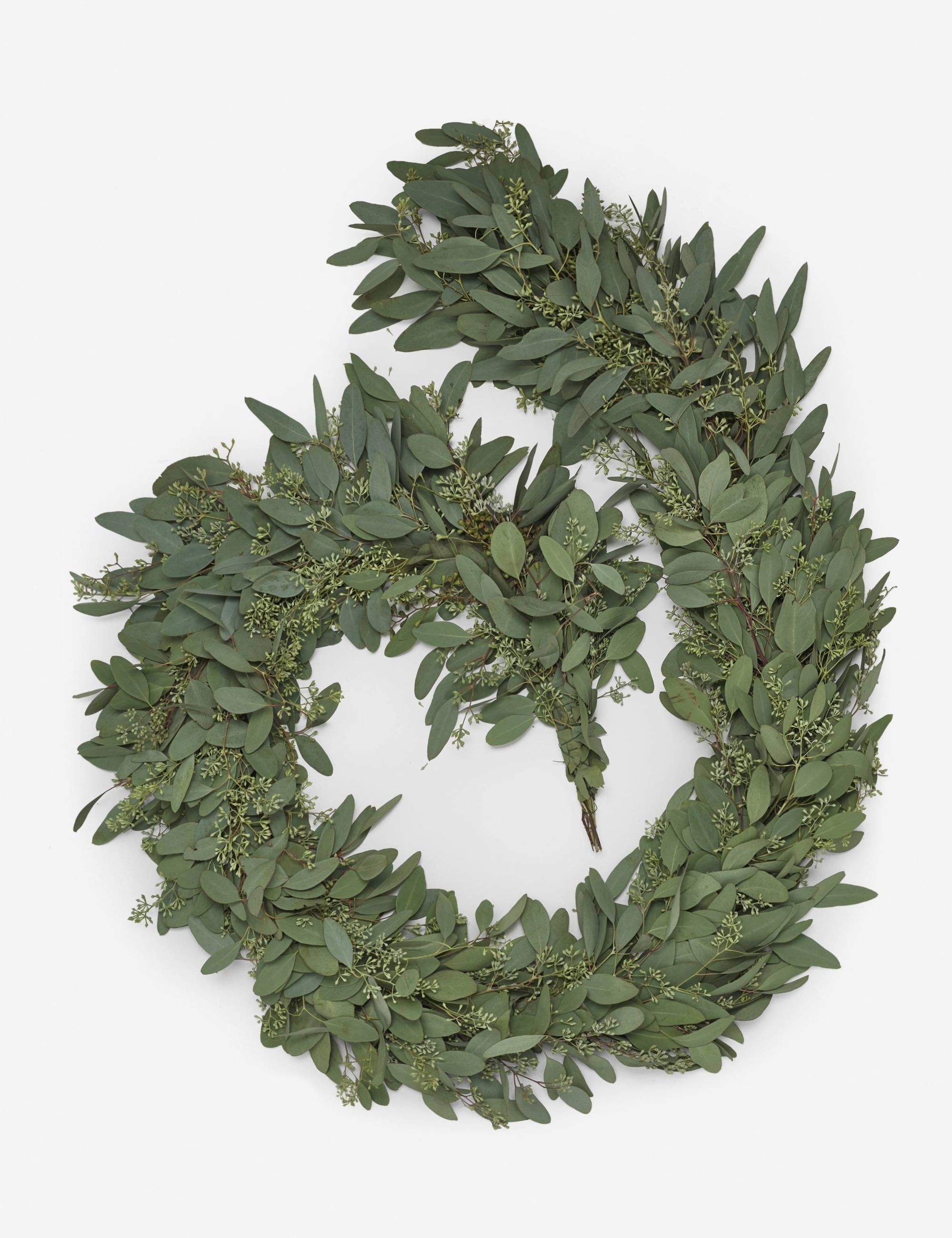 Seeded Eucalyptus Garland | Lulu and Georgia 