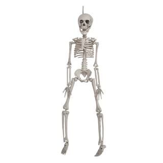 16" Skeleton by Ashland® | Michaels Stores
