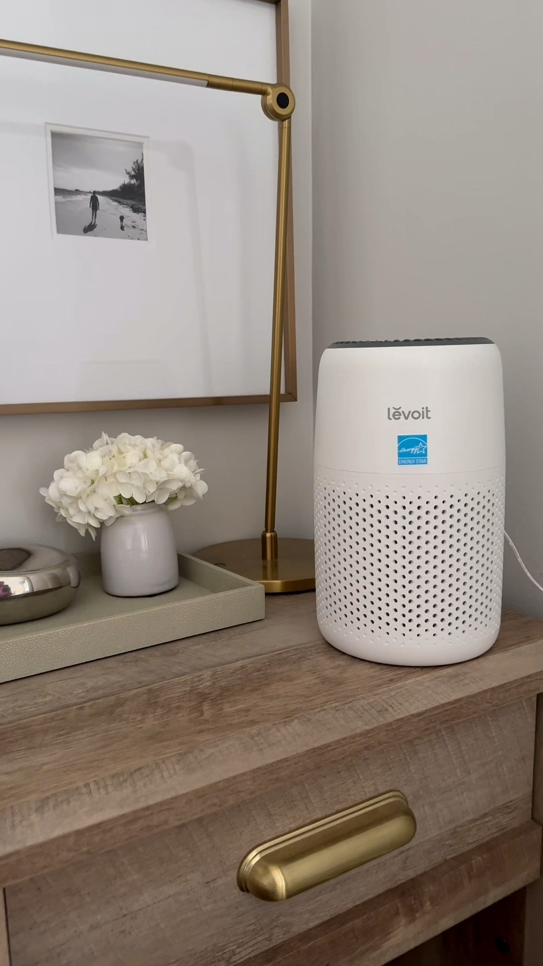 Winter air = closed windows & trapped dust ❄️
Such a game changer for allergies — I genuinely feel the difference when it’s off.
Even helps my pug’s reverse sneezing 🐶🌿 #LTKHome  #airpurifier