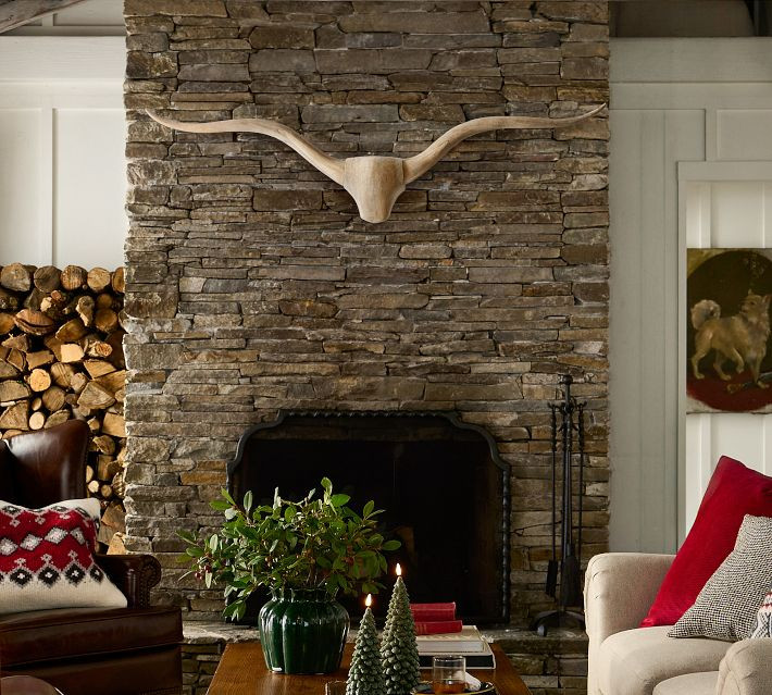 Longhorn Wall Art | Pottery Barn (US)