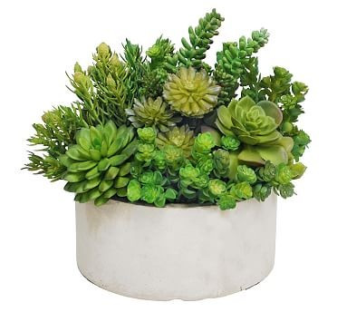 Faux Succulent Garden Planter, 10 | Pottery Barn (US)