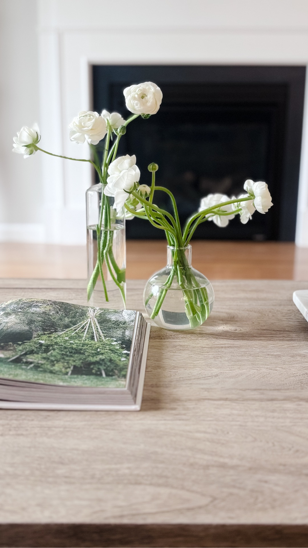 Some pretty things for your coffee table…

#LTKdayinmylife #LTKHome