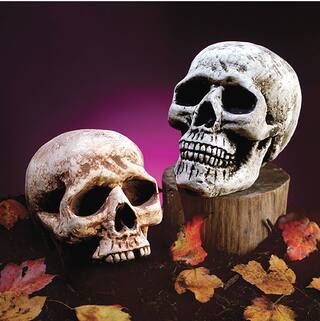 Assorted 8" Foam Skull Head Decoration by Ashland® | Michaels Stores