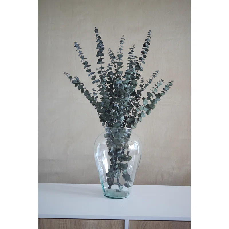 Eucalyptus Arrangement | Wayfair North America