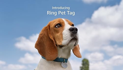 Introducing Ring Pet Tag | Easy-to-use tag with QR code, real-time scan alerts, shareable Pet Pro... | Amazon (US)