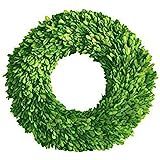Preserved Boxwood Wreath 14 in by Tradingsmith | Amazon (US)