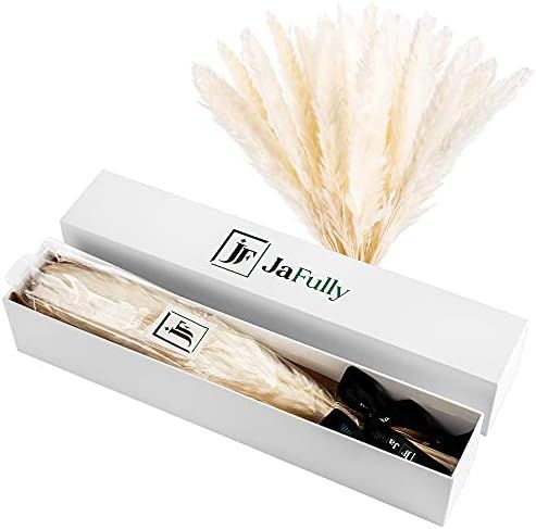 Pampas Grass | JaFully 30 pcs Natural Dried White Pompas Floral for Home Decor | Bundle of 30 Dried  | Amazon (US)
