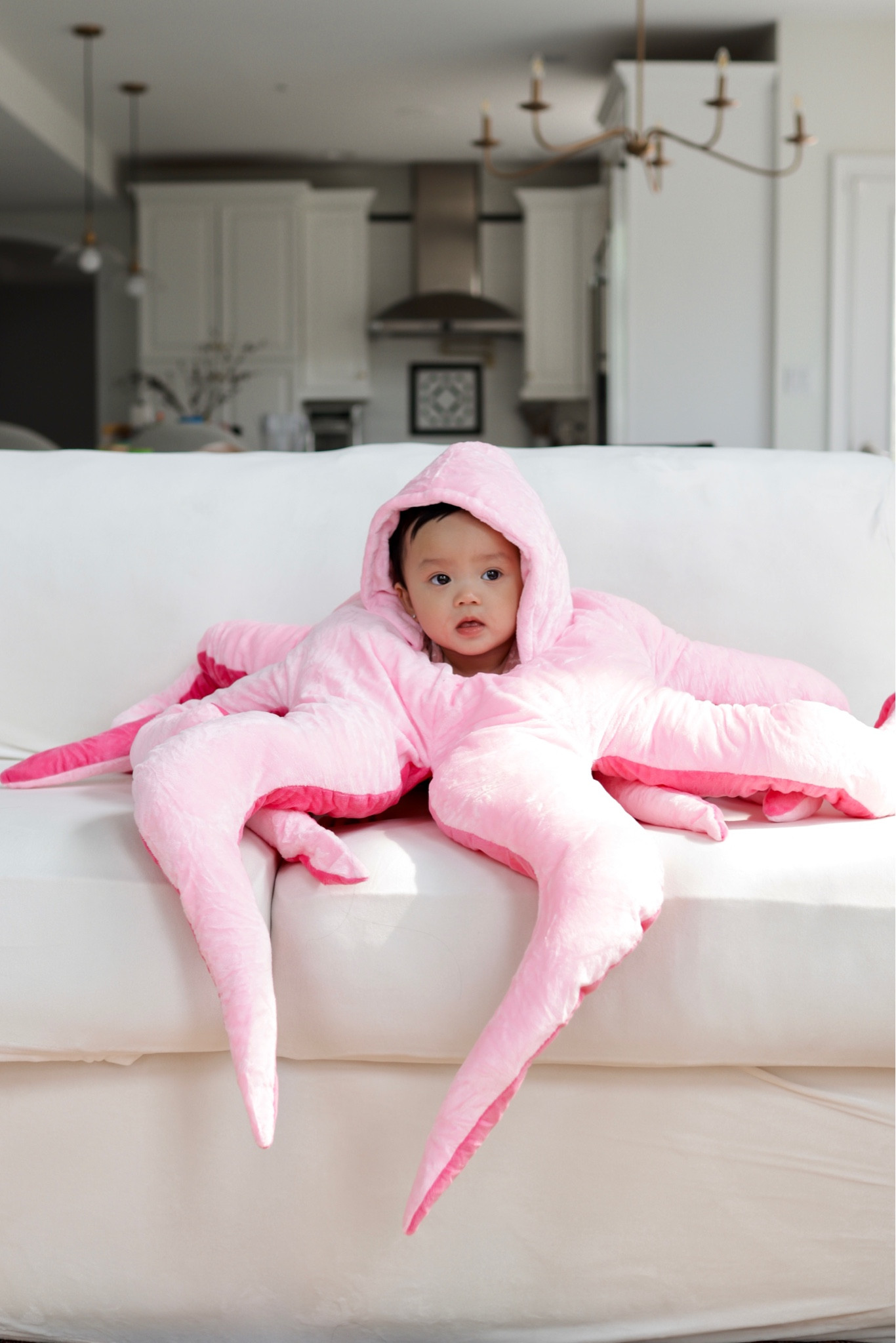 Cute Baby Octopus Costume // Soft and plush pink octopus wearable costume for babies and toddlers. Fun for playing and cute to wear. One size.

#LTKFind #LTKSeasonal #LTKkids
