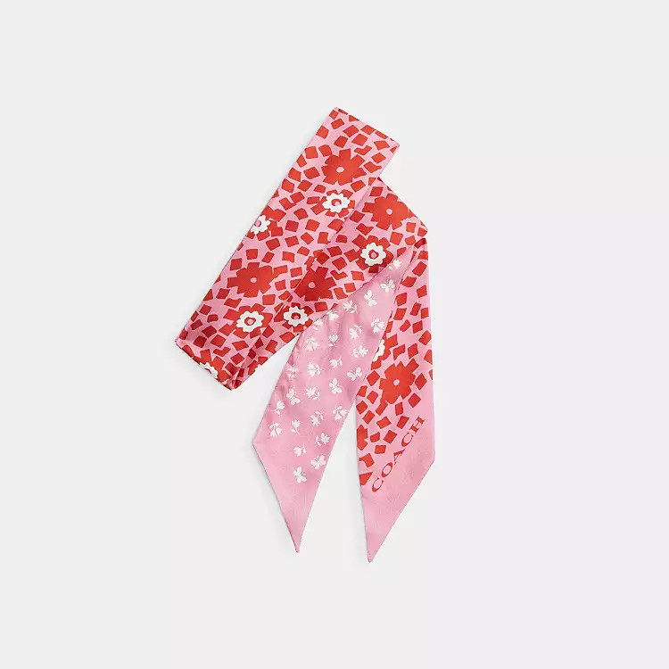 Country Club Floral Print Silk Skinny Scarf | Coach Outlet US