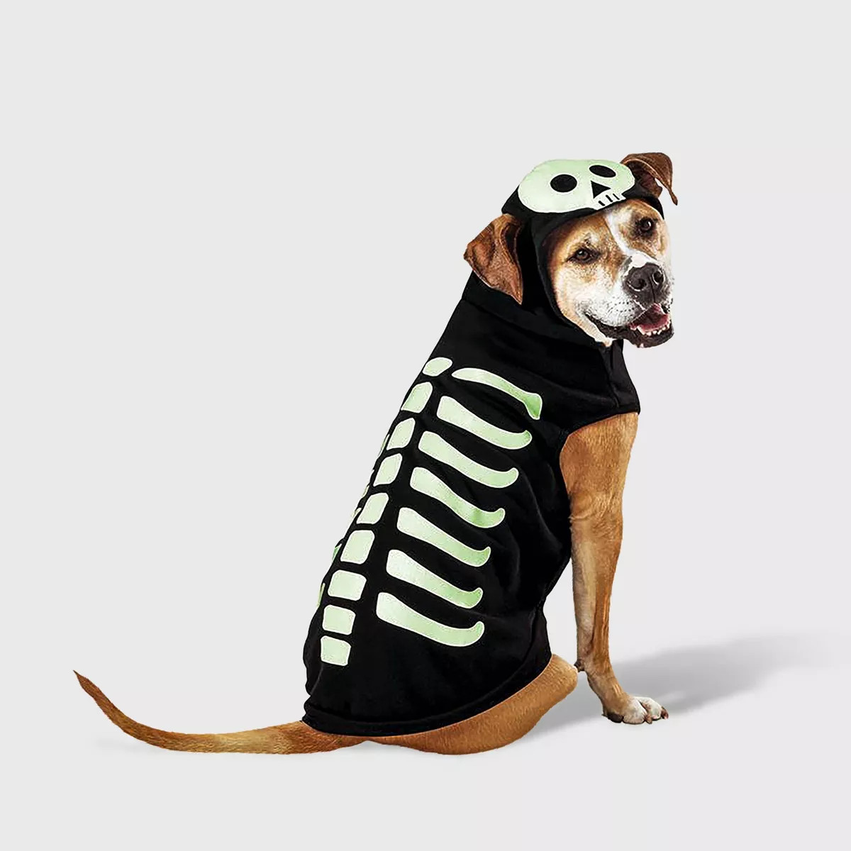 Skeleton Glow Reflective Halloween Hoodie Dog and Cat Costume - Boots & Barkley™ | Target