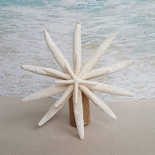 SALE! Starfish Tree Topper - 5-6", 7-8", 9-10" or 11-12" size options -4 starfish | Amazon (US)
