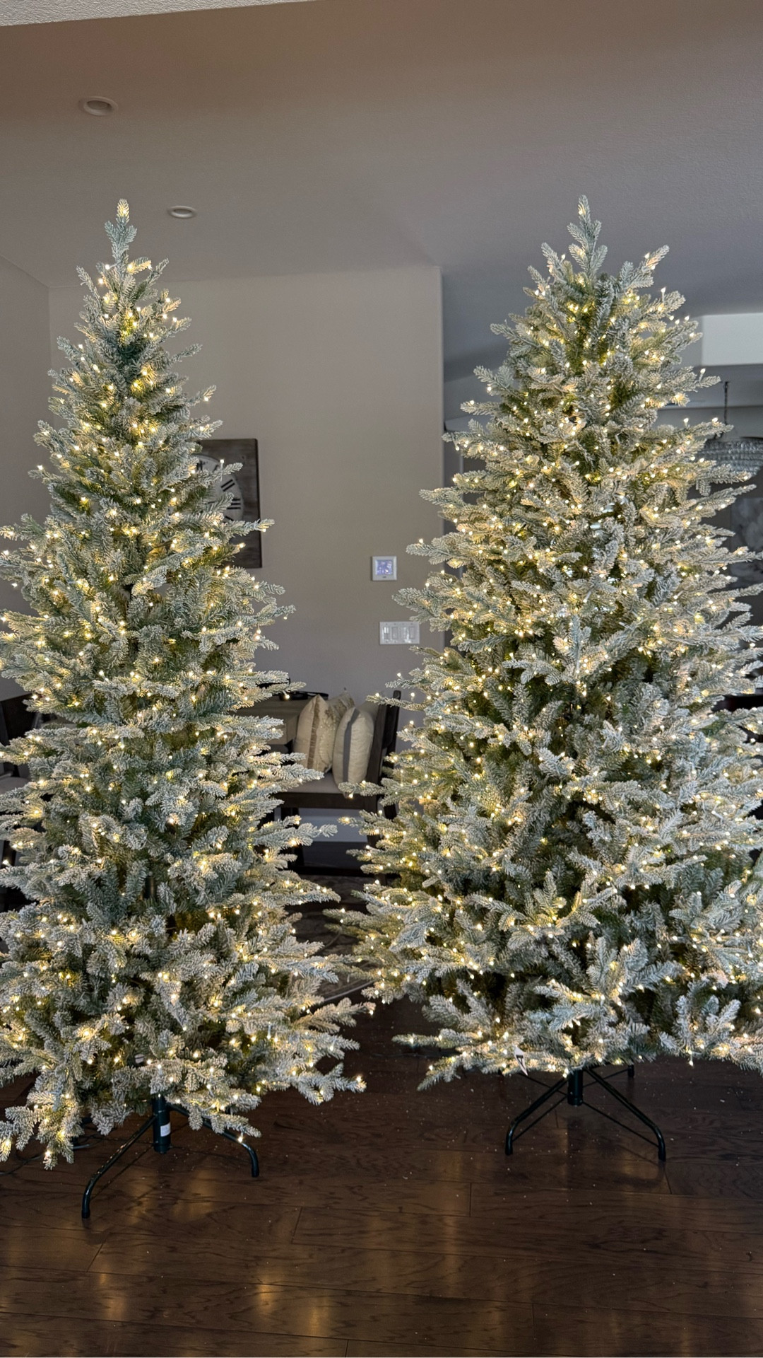 Flocked Grand Duchess Christmas Tree | Grand Duchess | New Holiday Arrivaal 

#LTKHome #LTKSeasonal