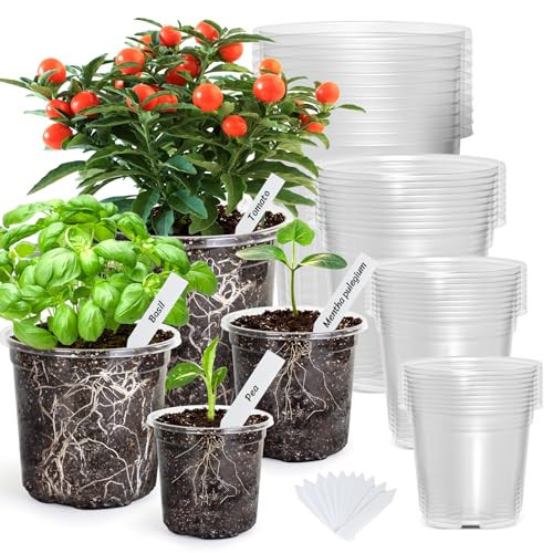 Bonviee 36 Packs 6.7/5/4/3.5 Inch Clear Nursery Pots for Plants, Reinforced Clear Nursery Pots with Drainage Hole,Transparent Plastic Plant Pot Seedling Planter Seed Starter Flower | Amazon (US)