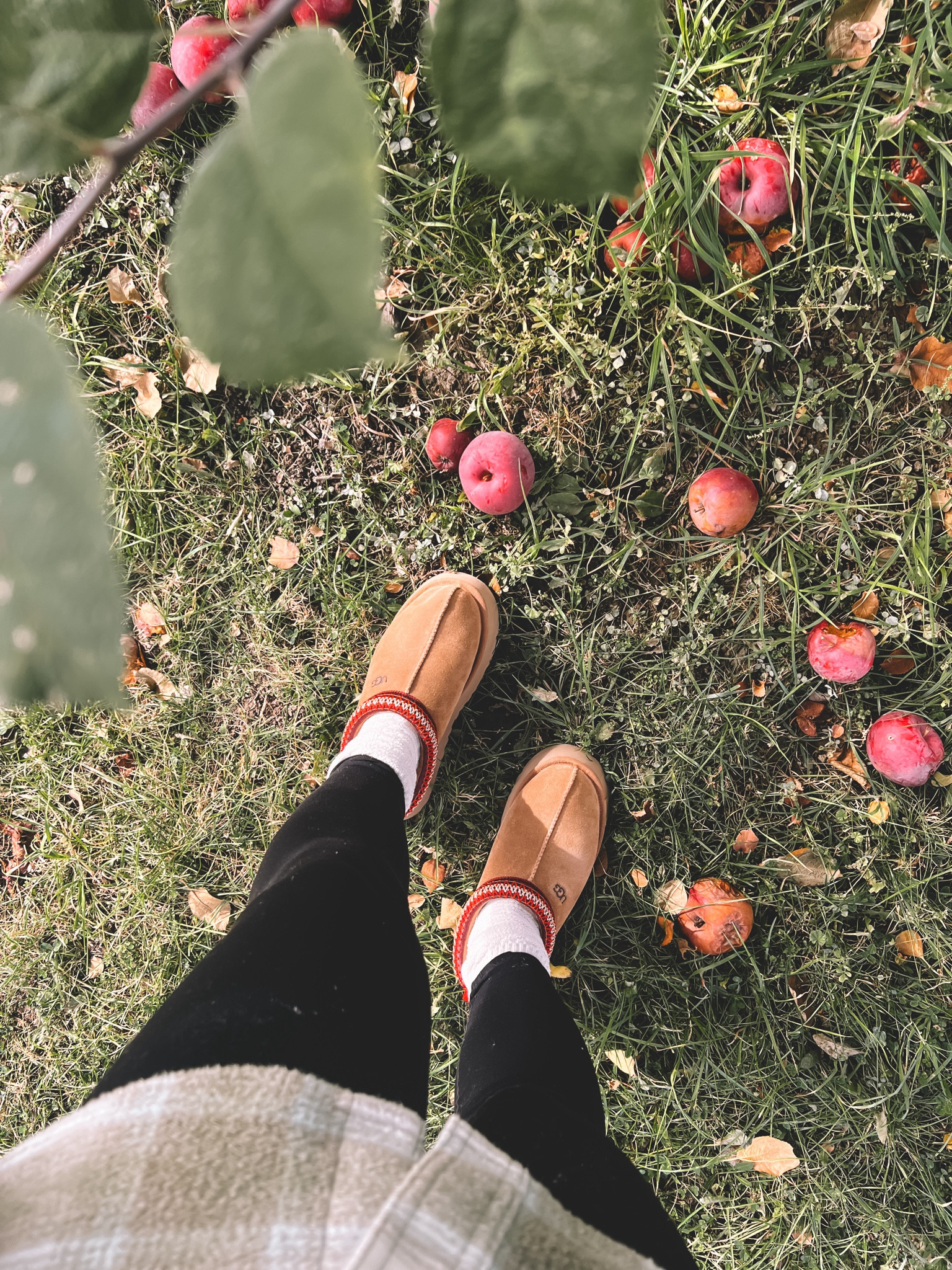 The Ugg Tazz Platform Slippers are finally back in stock at Nordstrom! They have multiple colours available right now 👌

#LTKMostLoved #LTKstyletip #LTKshoecrush