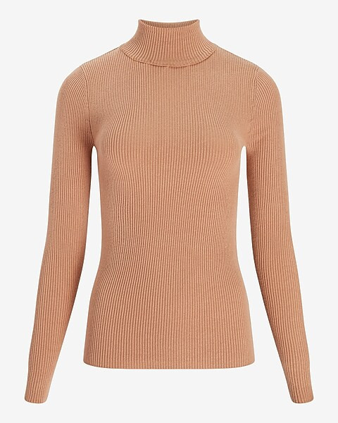 Ribbed Fitted Turtleneck Sweater | Express