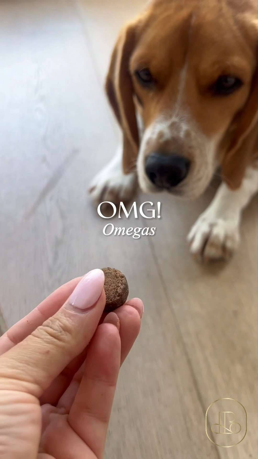 The ultimate "nutritional boost" secret for a thriving household! 🙌 Bernie's OMG! Omegas are a total game-changer for maintaining a healthy, vibrant coat and supporting itchy skin. It’s the perfect daily supplement to support heart, brain, and joint health for dogs of all ages. This product is good for the "pet parent" enthusiast who wants to see their furry friend looking and feeling their absolute best every single day! 🐕 #LTKPets #LTKPetFinds #LTKunder30 #BerniesPerfectPoop #DogWellness #ShinyCoat #PetHealthHacks #HealthyPup #DogNutrition #Omega3 #PetCareRoutine 

#LTKmomlife #LTKHome