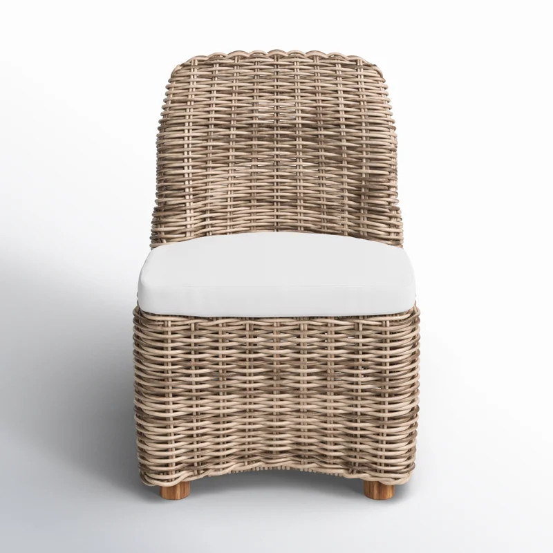 Dalva Polyethylene (PE) Wicker Wicker Outdoor Dining Side Chair with Cushion | Birch Lane