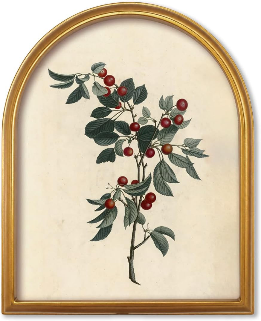 TwoDays Vintage Christmas Berries 11" x 13.8" Gold Arched Framed Wall Art | Amazon (US)