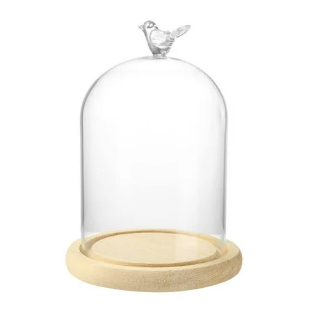 Clear Glass Cloche Bell Jar Display Case with Bird Handle Wooden Base Clear Glass Jar Tabletop Displ | Walmart (US)