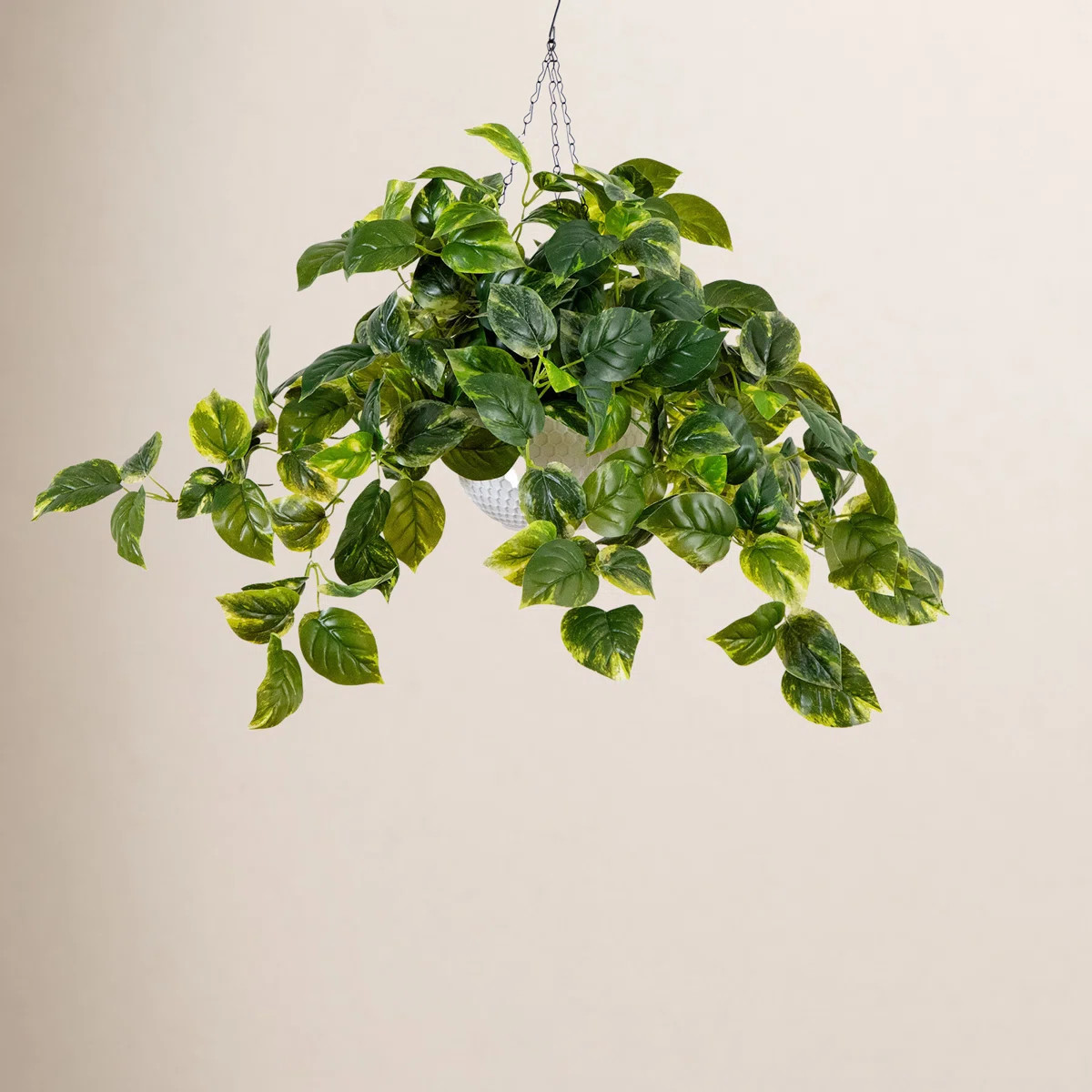 24in. UV Resistant Artificial Pothos with 50 Warm White LED Lights in White Hanging Basket (Indoo... | Birch Lane
