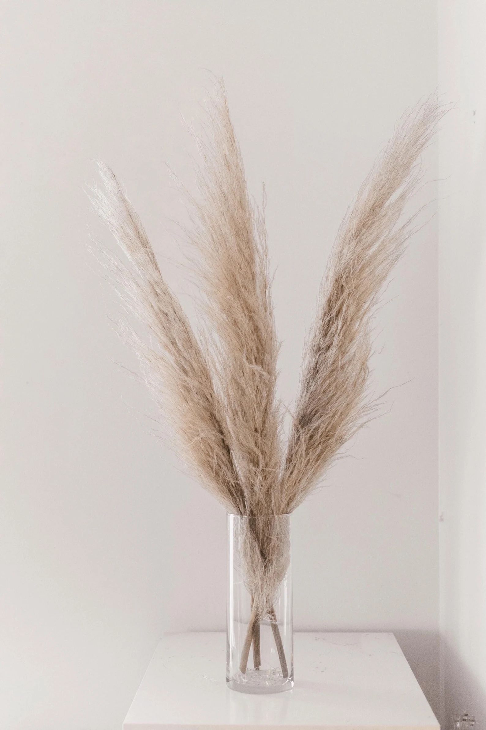 Pampas Grass | Dried + Preserved | Domestically Grown | Bohemian Wedding Decor | Tall Vase Flower... | Etsy (US)