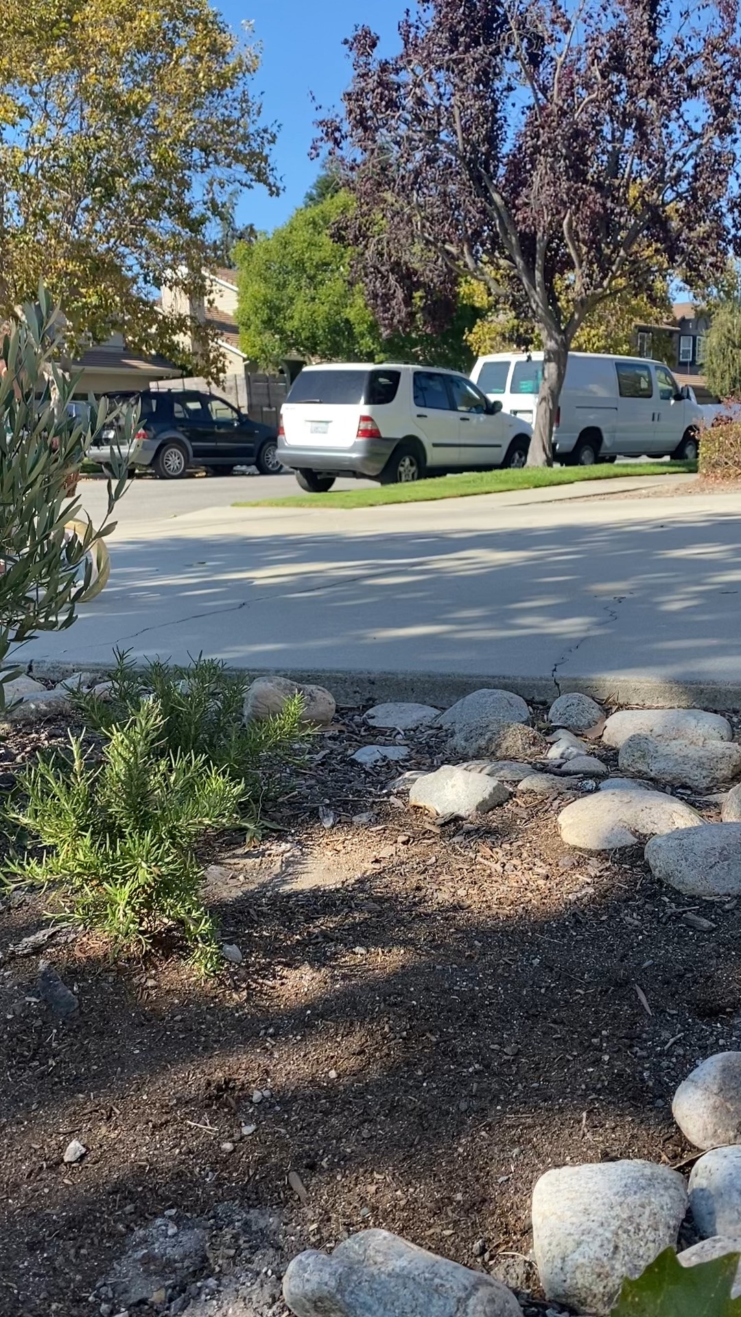 The best little toddler bike. This was her first day. After that she zoomed around on this thing like a wildling. 

On sale this weekend  

#LTKCyberWeek #LTKHoliday #LTKKids