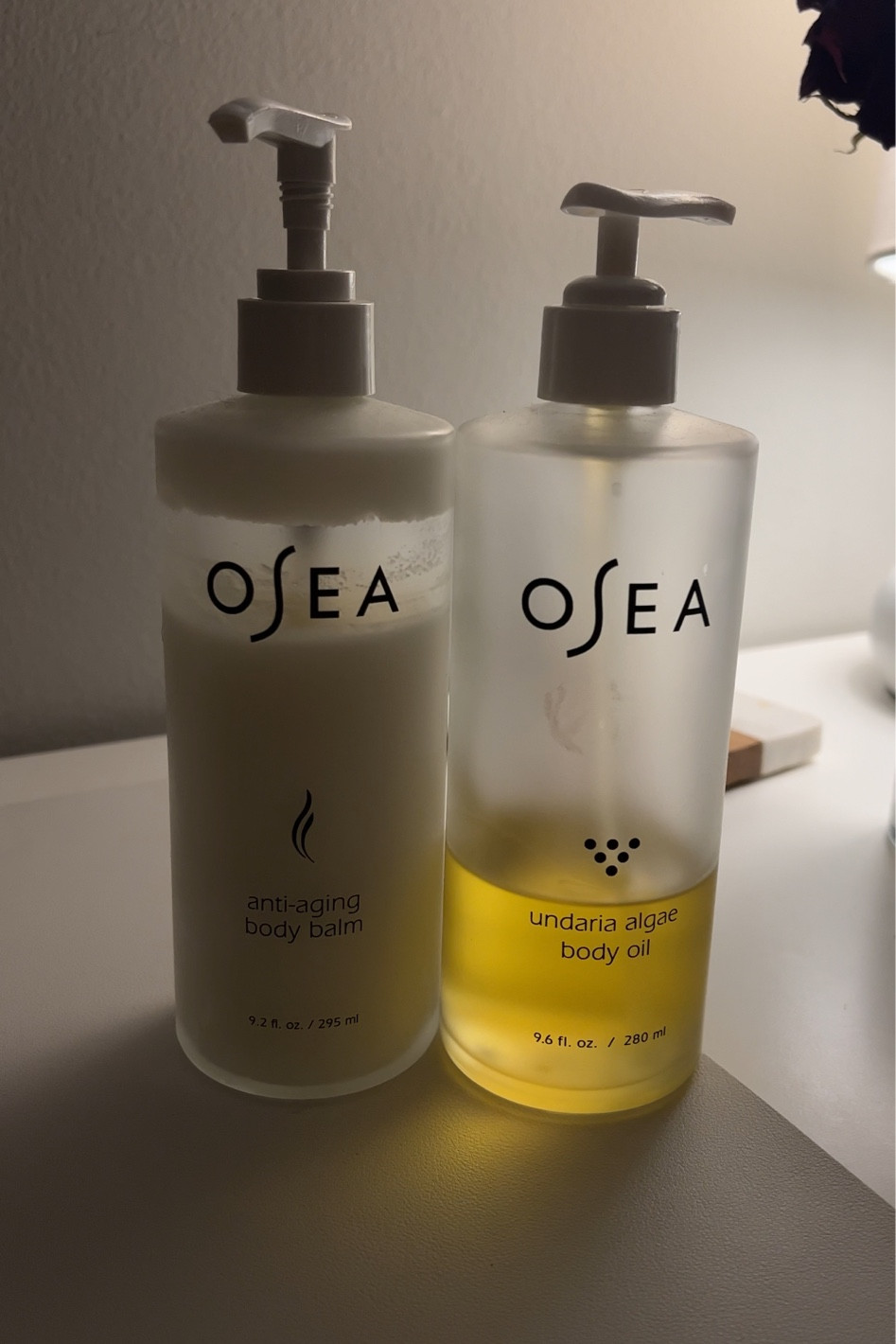 This duo for your body an hour or two before bed every night is going to get your body right for the summer sun ✨ 

I also use a body scrub 2-3 times a week and an exfoliating body lotion a few times a week as well to slough off the dead skin so these can really work their magic! 

Use code ‘Chelseybeauty’ to save 10% off Osea products!!! 

#LTKsalealert #LTKbeauty #LTKGiftGuide