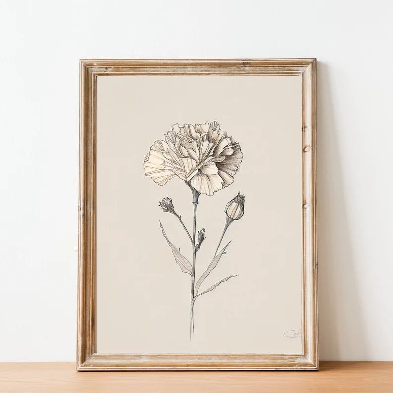 January Carnation Vintage Birth Month Flower Illustration - Minimalist - Fine Art - HandDrawn - B... | Etsy (US)