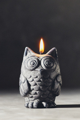 Owl Shaped Wax Candle | Anthropologie (US)