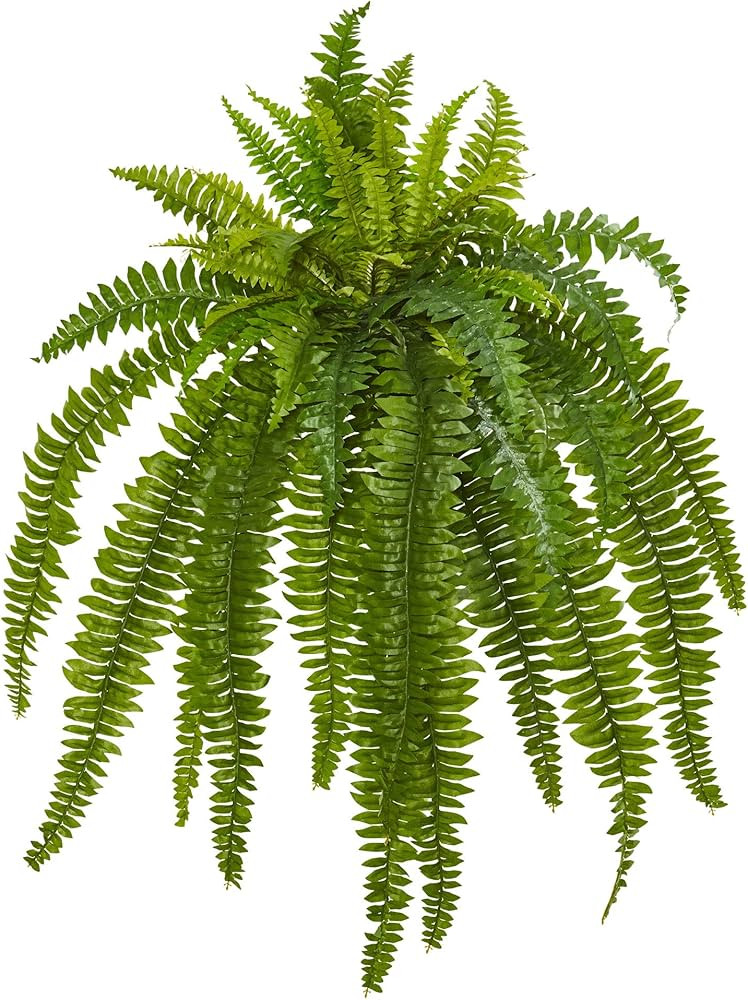 Nearly Natural 35” Boston Fern Artificial (Set of 2) Silk Plants Green | Amazon (US)