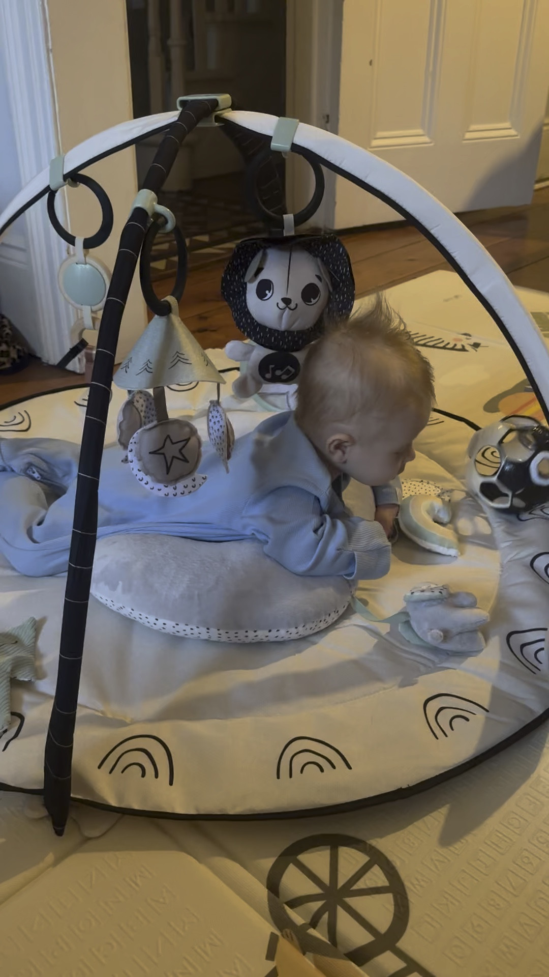 Recently started doing tummy time and Ziggy loves all these sensory toys to keep him engaged 

#LTKkids #LTKbaby #LTKfamily