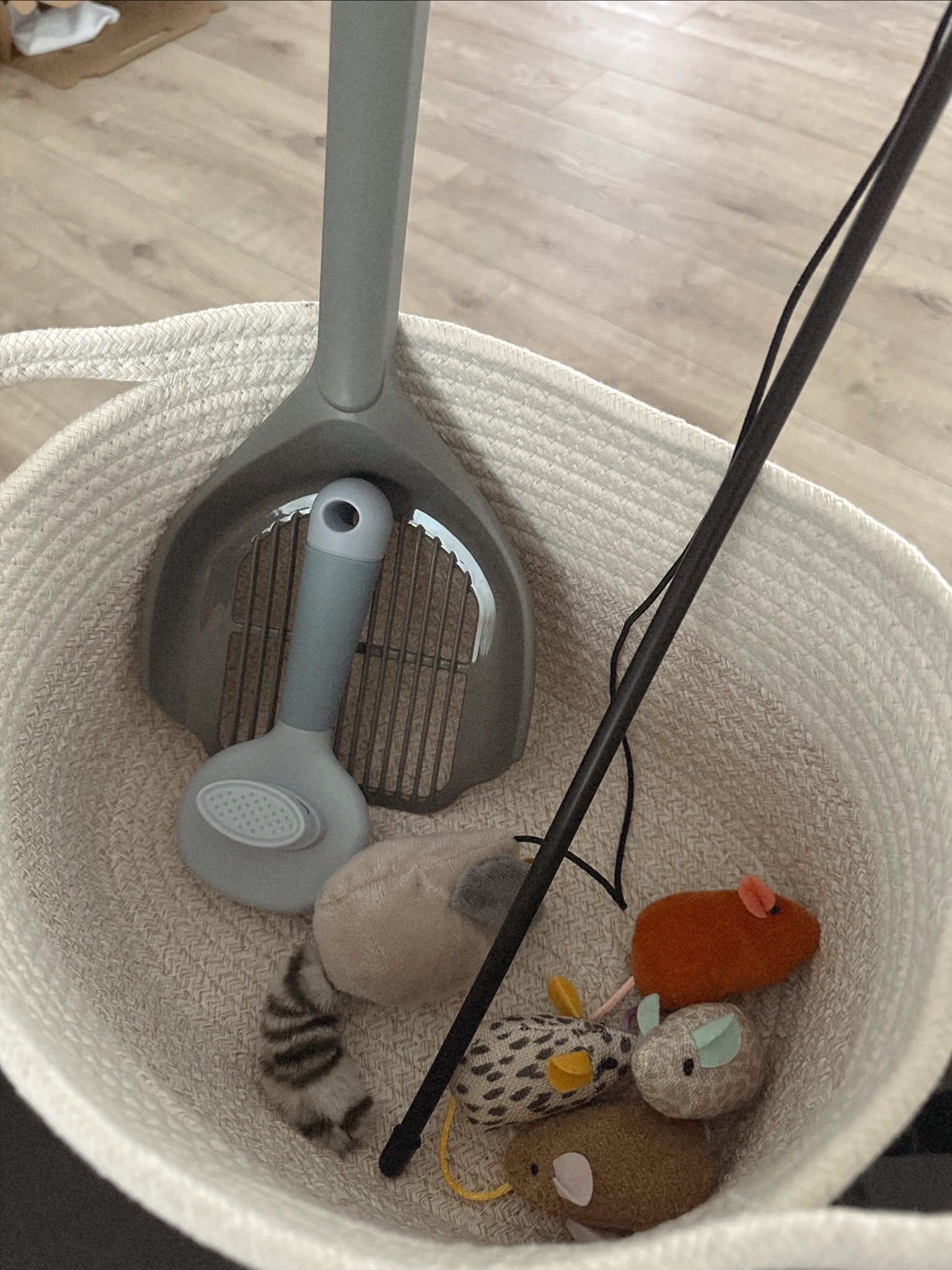 KITTEN 🐾
We recently got a little kitten and we absolutely love her! Here’s some things we got as first time pet owners 🤍

#LTKCon #LTKhome #LTKfamily