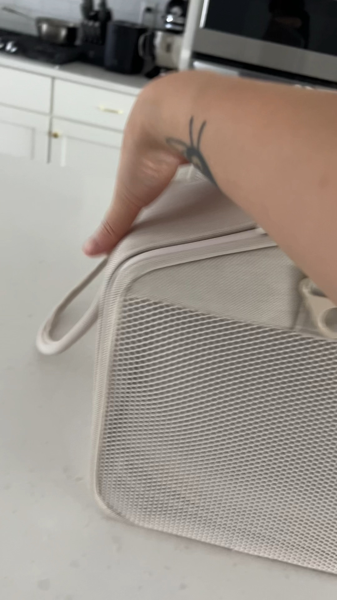Prettiest cat carrier

#LTKVideo