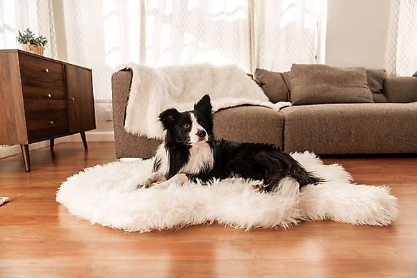 PawBrands PupRug Premium Faux Fur Human Grade Orthopedic Memory Foam Dog Bed | Chewy.com