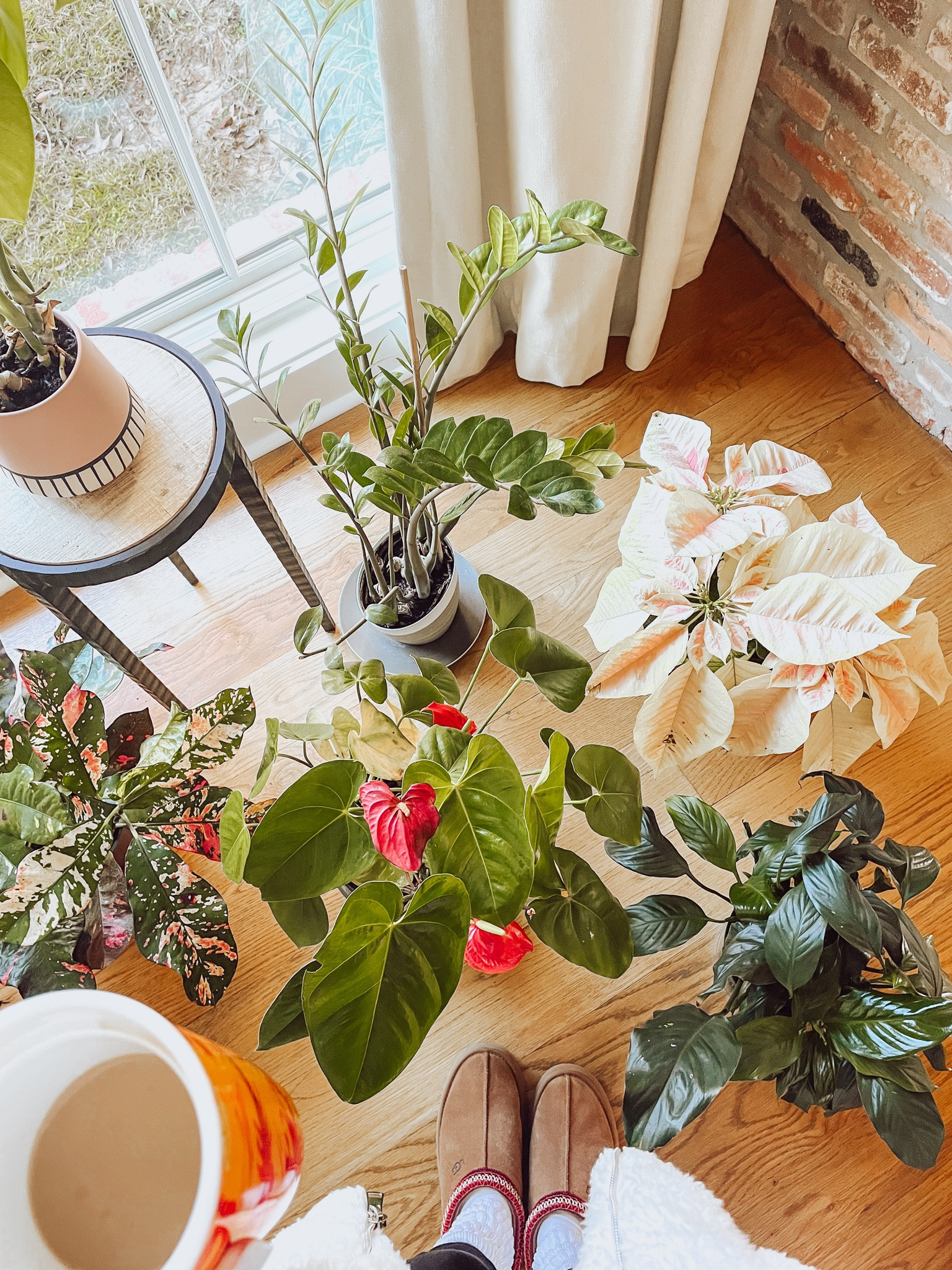 My Ugg link!!!

#LTKSeasonal #LTKBeauty #LTKShoeCrush