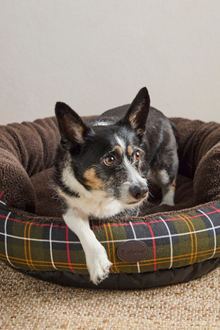 Barbour Dog Snuggle 30" Bed | Free People (Global - UK&FR Excluded)