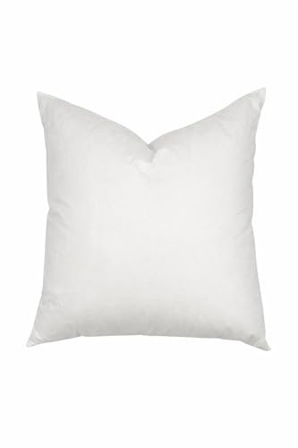 Jillien Harbor Plush Pillow Insert, 22 x 22 Inches, 100% Cotton Cover, Polyester Gel Fill, Made in USA, Fits 20x20 Pillow Covers | Amazon (US)