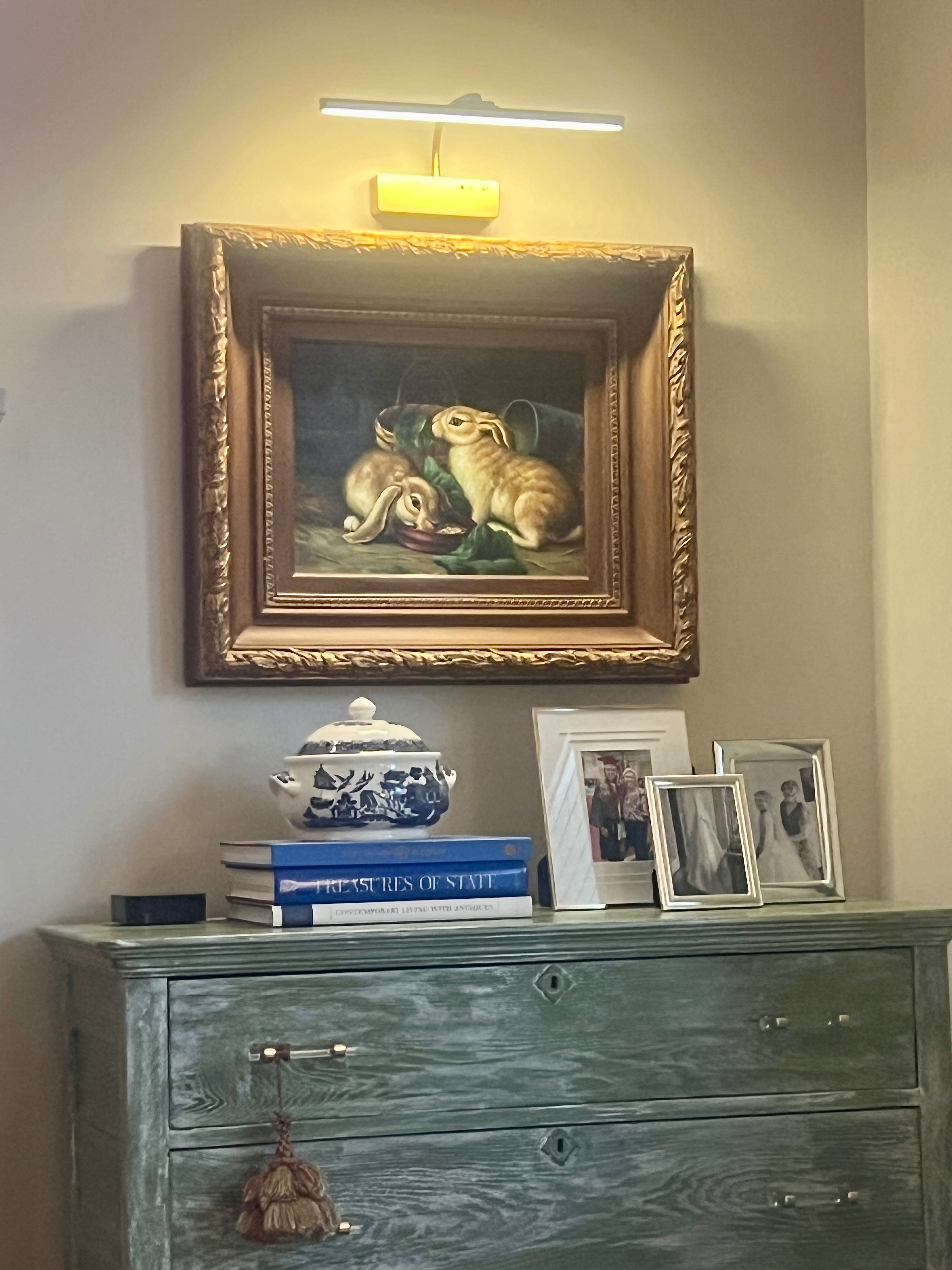 This picture light has been one of my best purchases on Amazon.  It's rechargeable and remote operated with several different color options.


 

#LTKFamily #LTKOver40 #LTKHome #LTKFindsUnder50