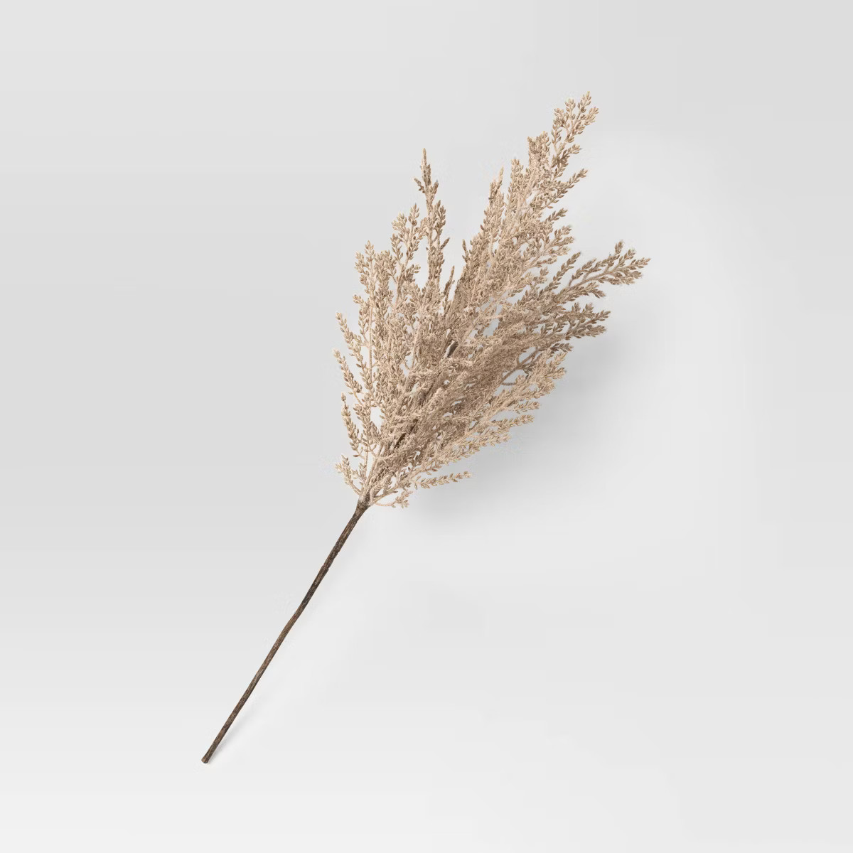 Tan Grass Stem - Room Essentials™ | Target