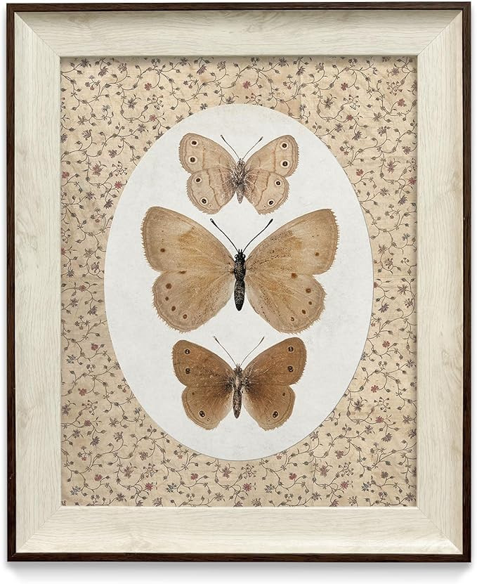 razliubit Butterfly Wall Art Prints, Replaceable Framed Vintage Wall Decors for Room Aesthtic, Sm... | Amazon (US)