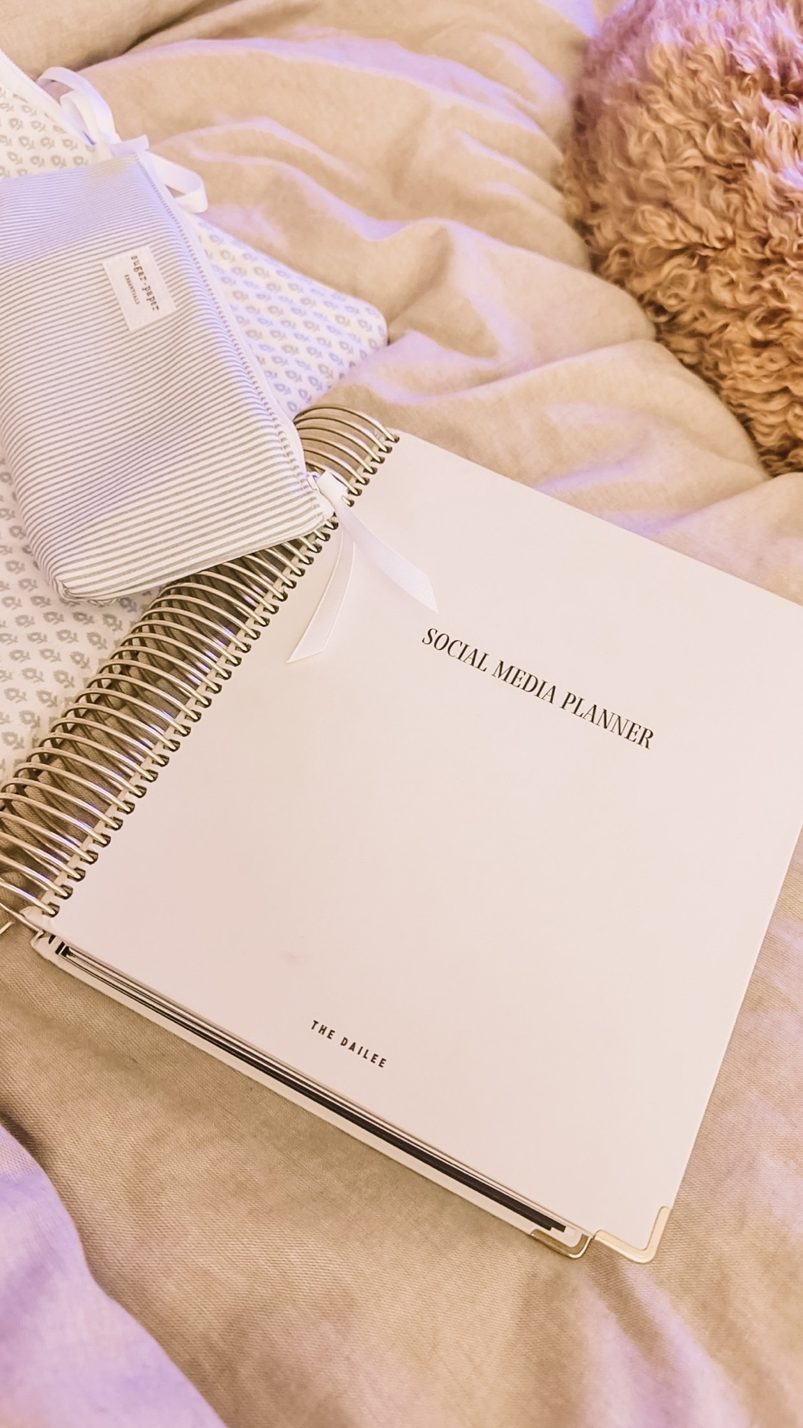 I have been loving my new planner from The Dailee, helps me stay super organized & motivated!! You need this 😊

#LTKHome