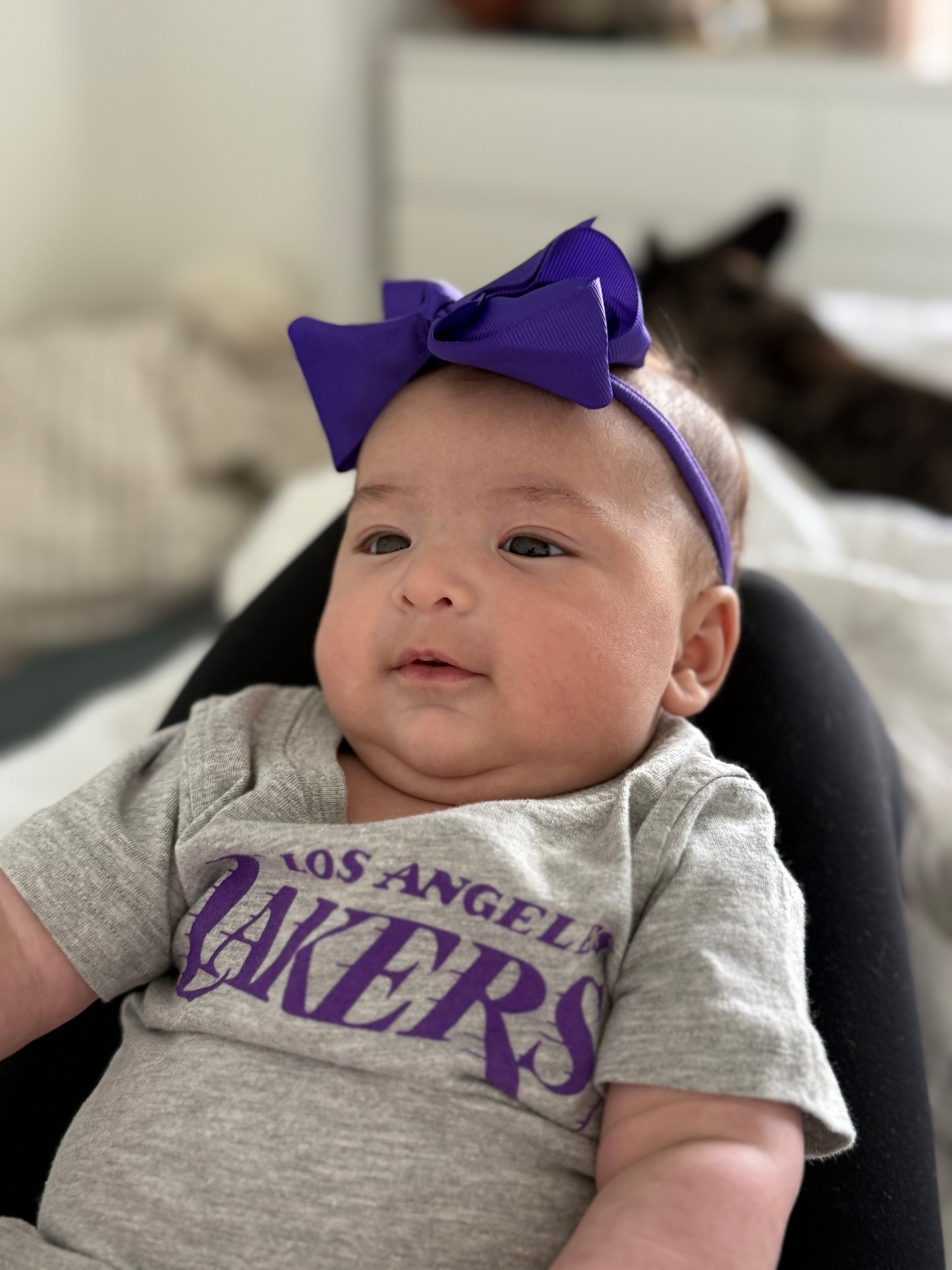 Best pack of bows for baby girls 

#LTKFindsUnder100 #LTKmomlife #LTKBaby