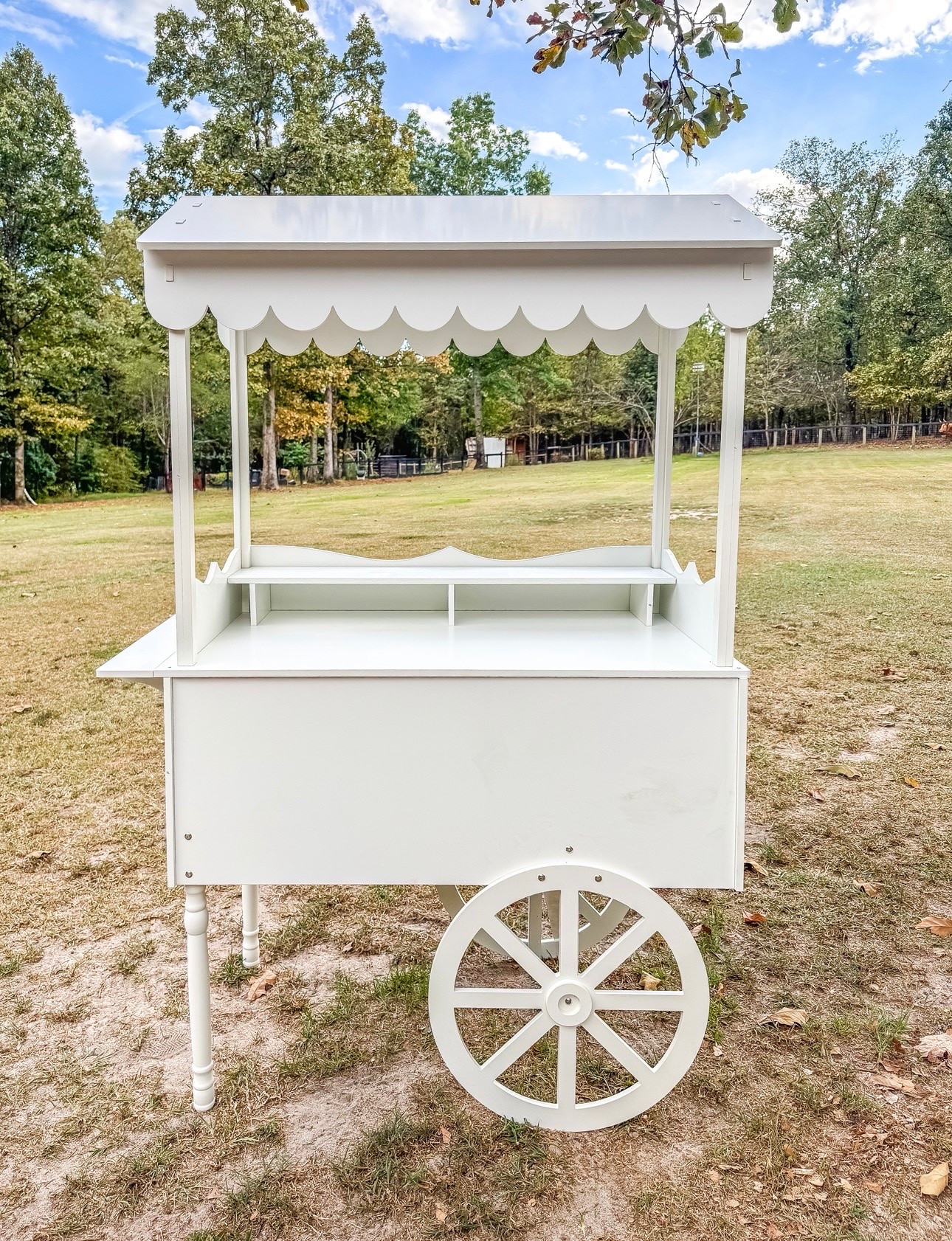 The perfect display/flower cart for birthdays, weddings, home bakery’s!