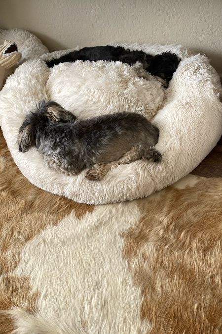 New bed for le pups! 

#LTKfindsunder50 #LTKhome #LTKfamily