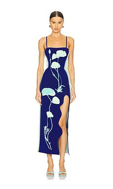 Iris Maxi Dress
                    
                    PH5 | Revolve Clothing (Global)