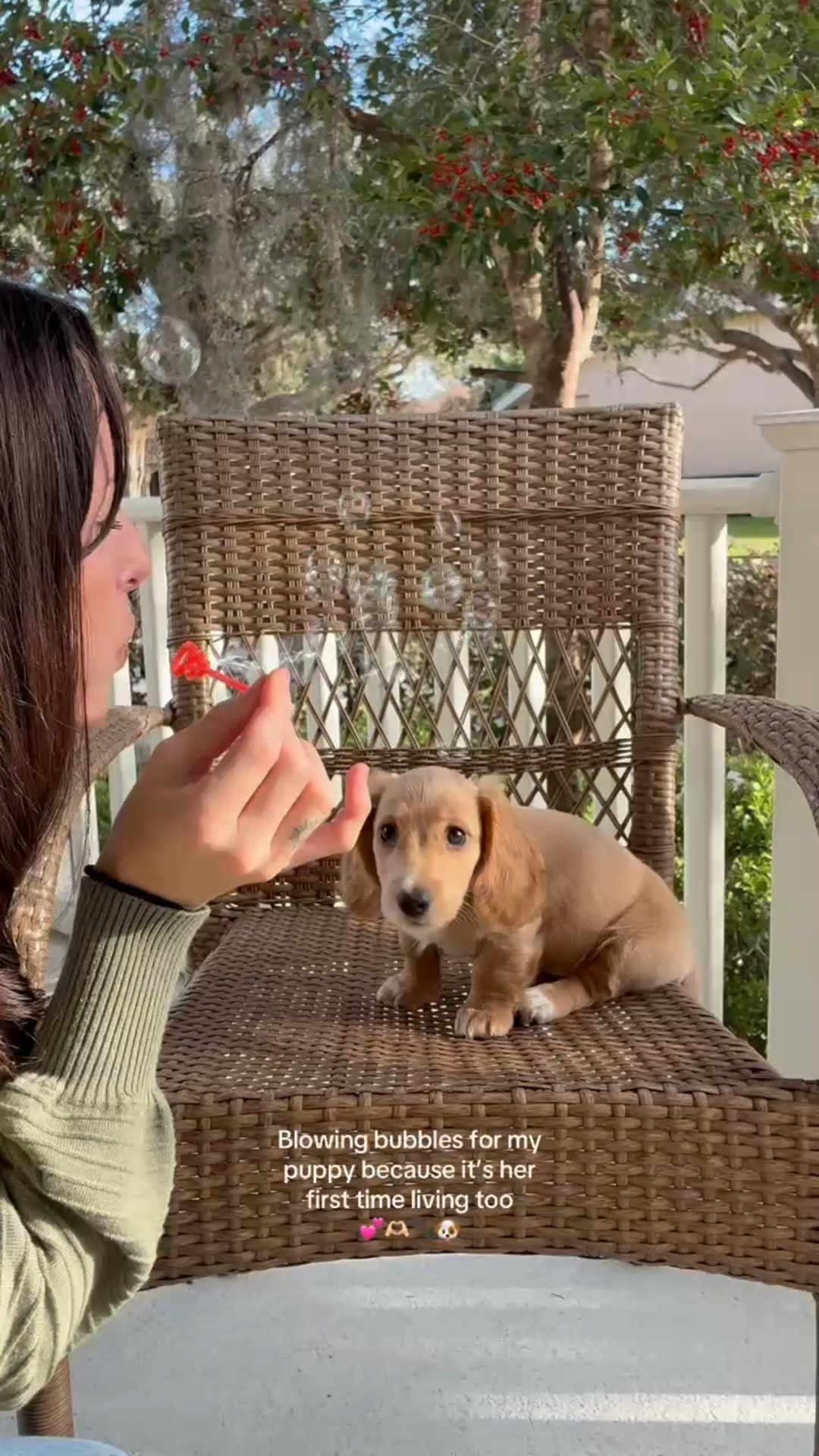 The dog friendly bubbles are awesome, Mirren loves the peanut butter flavor 🐶🦴🩷