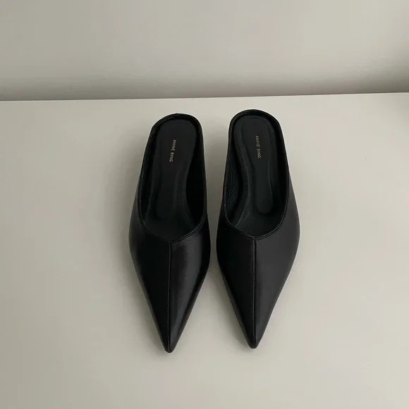 Anine bing rooney mules | Poshmark